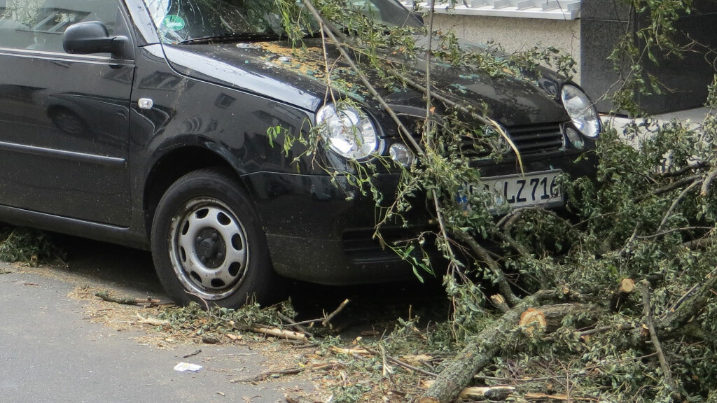 Sie sehen ein Auto auf dem ein Ast gefallen ist.