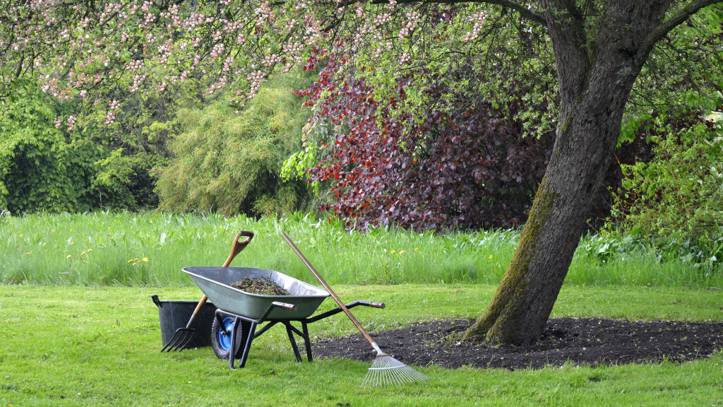 Sie sehen eine Schubkarre, die in einem Park steht.