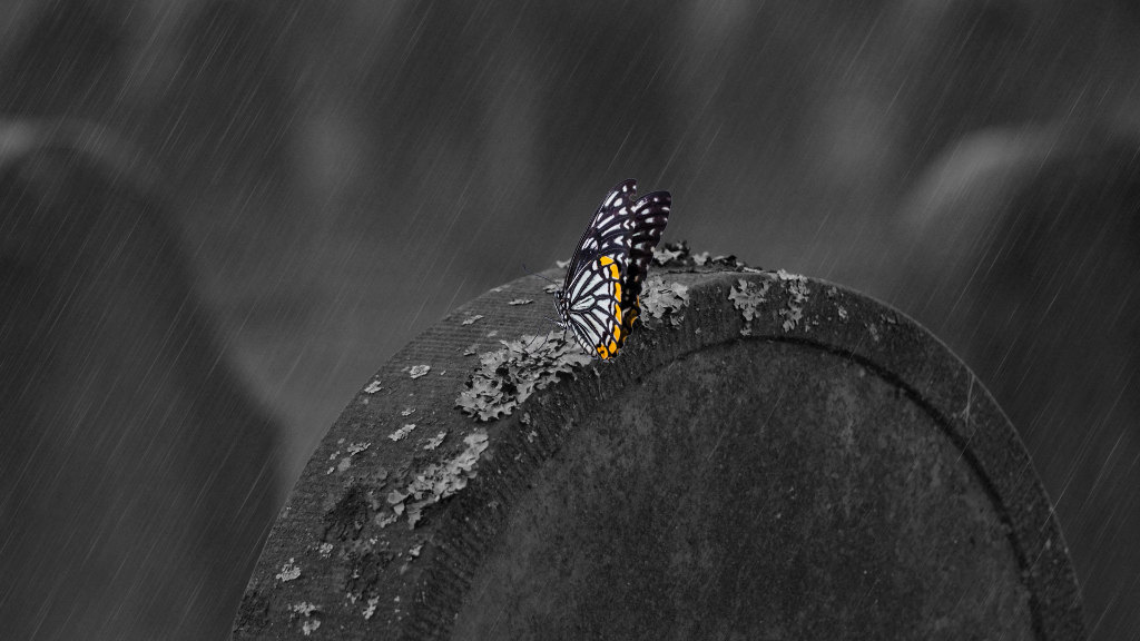 Sie sehen einen schwarzen Grabstein, ohne Verzierungen, auf dem ein Schmetterling sitzt.