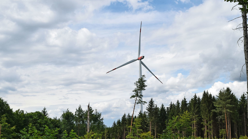 Sie sehen ein Windkraftwerk in einem Wald.