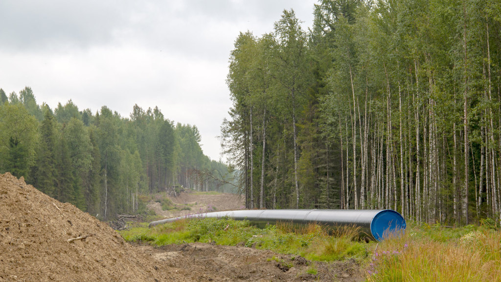Sie sehen eine Erdgas-Pipeline, die durch eine Schneise in einem Wald verläuft.