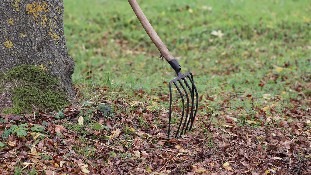 Sie sehen eine Forke, die an einem Baum lehnt.
