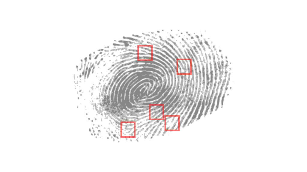 Sie sehen einen Fingerabdruck mit Markierungen.