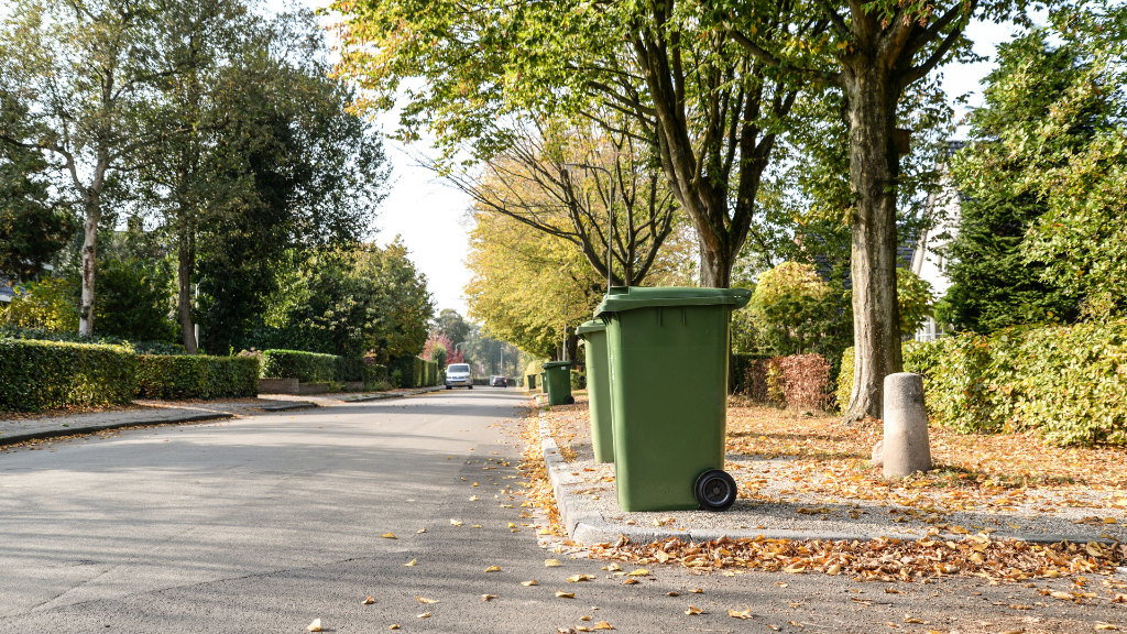 Sie sehen mehrere Mülltonnen am Straßenrand stehen.