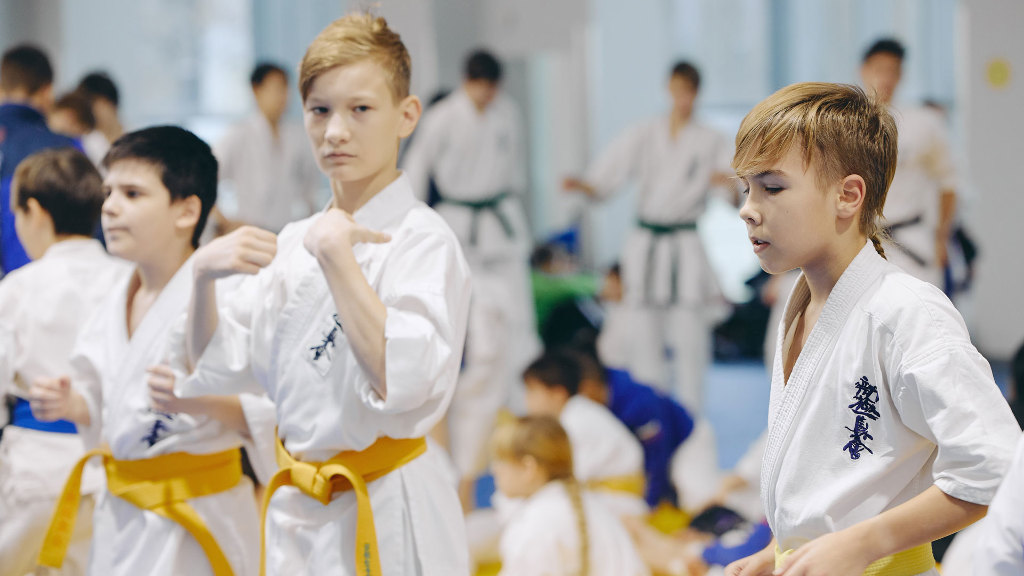 Sie sehen Jungen beim Karate.
