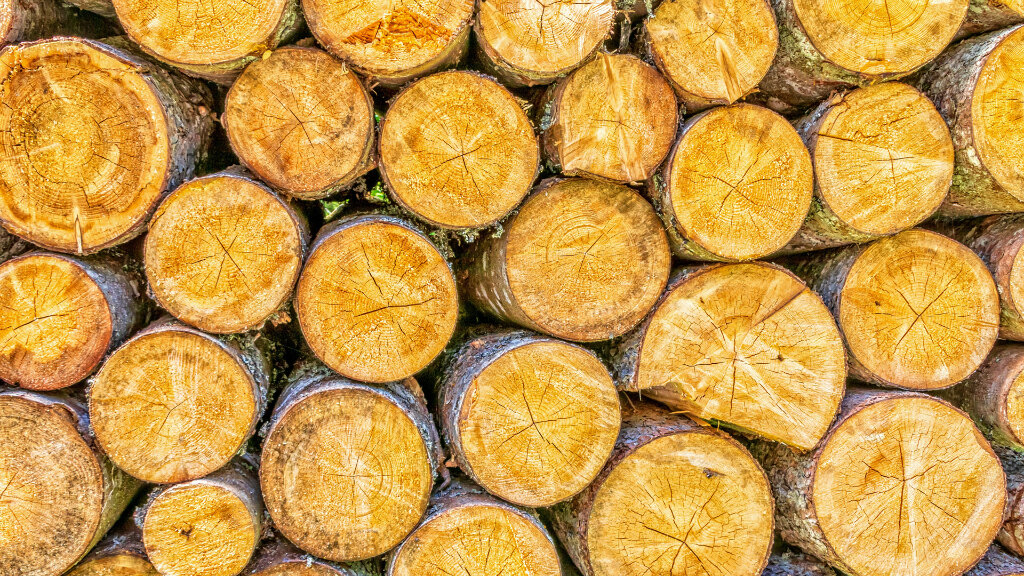 Sie sehen einen Stapel Holz.