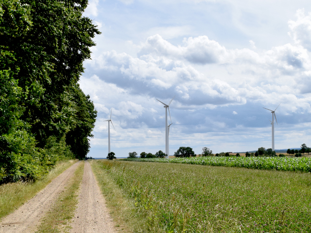 Sie sehen mehrere Windkraftanlagen, welche auf Feldern stehen, wobei im Vordergrund auch ein Weg und ein Waldgebiet zusehen sind.