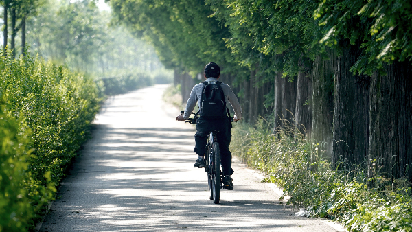 Sie sehen einen Radweg auf dem ein Radfahrer fährt.