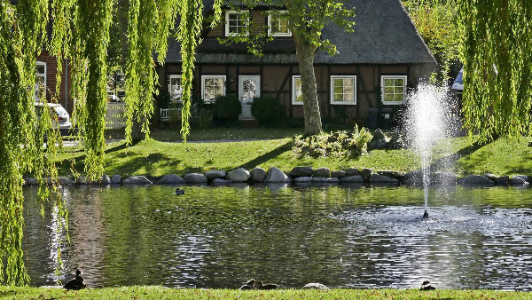 Sie sehen ein Haus, idyllisch an einem Teich gelegen, auf der Insel Fehmarn.