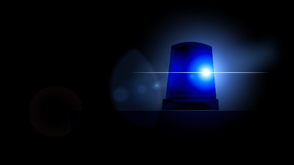 Sie sehen eine blaue Rundumleuchte.