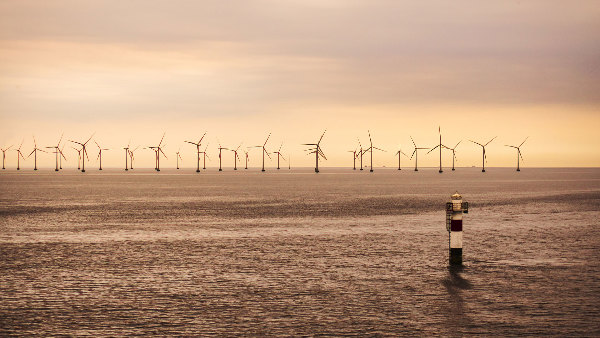 Sie sehen ein Offshore-Windpark auf dem Meer.