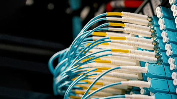 Sie sehen etliche Glasfaser-Leitungen an einem Patchfeld.