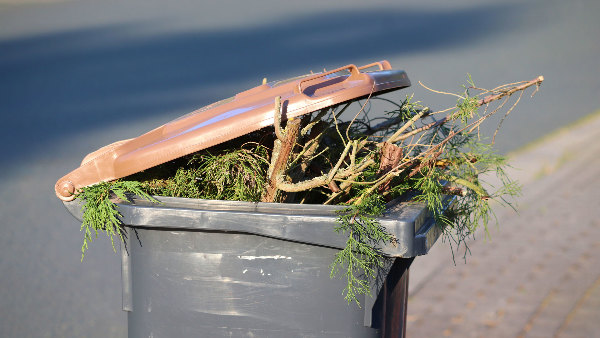 Sie sehen eine mit Gartenabfällen befüllte Mülltonne.