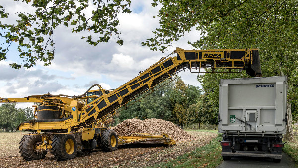 Sie sehen eine Landmaschine, die während der Zuckerrübenernte einen LKW belädt.