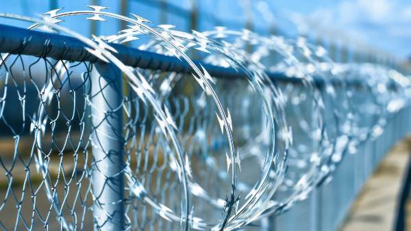 Sie sehen einen Stacheldraht, wie er an Grenzen oder bei Gefängnissen benutzt wird.