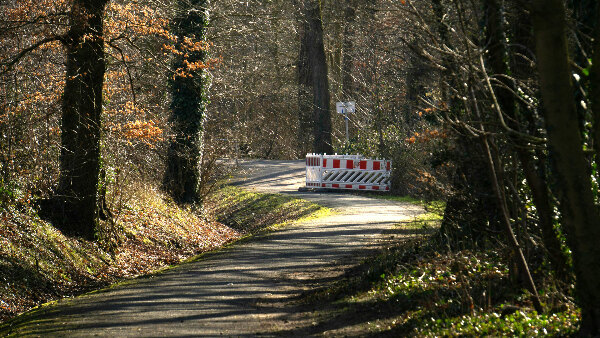 Sie sehen einen Waldweg, auf dem eine Absperrung steht.