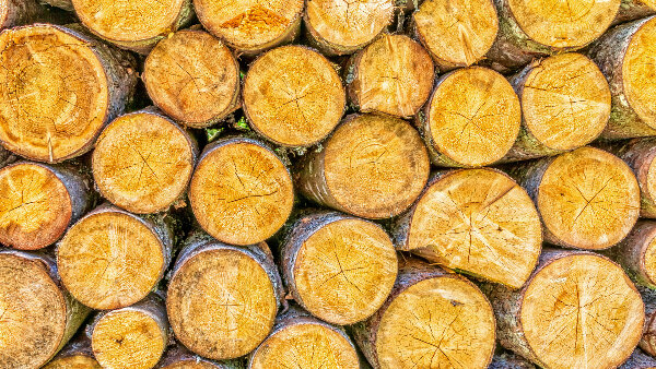 Sie sehen einen Stapel Holz.