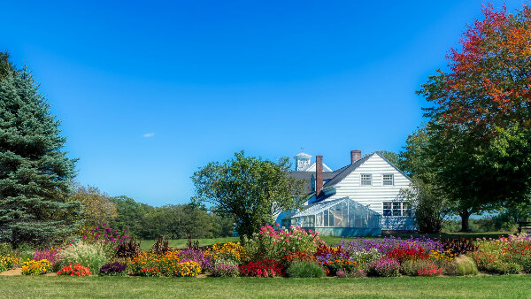 Sie sehen ein Haus mit Garten