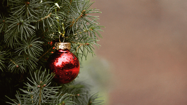 Sie sehen eine nasse Weihnachtskugel, die an einem Weihnachtsbaum hängt.