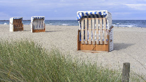 Sie sehen einen Strandkorb an einem Strand nahe der Dünen.