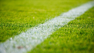 Sie sehen eine Nahaufnahme des Rasens eines Fußballplatzes.