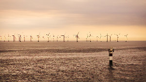 Sie sehen ein Offshore-Windpark auf dem Meer.