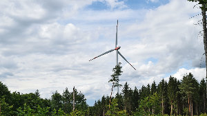 Sie sehen ein Windkraftwerk in einem Wald.