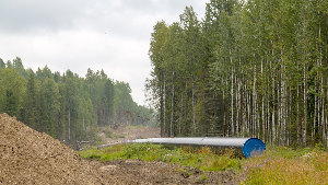Sie sehen eine Erdgas-Pipeline, die durch eine Schneise in einem Wald verläuft.