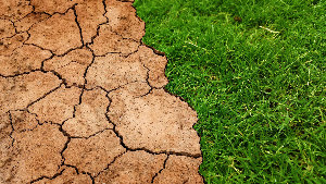 Sie sehen ein Stück ausgetrockneten Wüstenboden neben einer grünen Wiese.