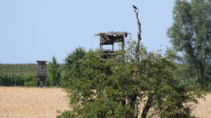 Sie sehen zwei Hochsitze am Rande eines Feldes.