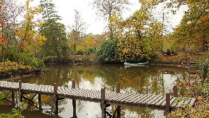 Sie sehen einen Teich mit einem Steg, auf dem ein Kanu schwimmt.
