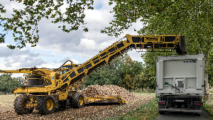 Sie sehen eine Landmaschine, die während der Zuckerrübenernte einen LKW belädt.