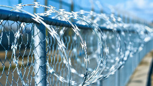 Sie sehen einen Stacheldraht, wie er an Grenzen oder bei Gefängnissen benutzt wird.