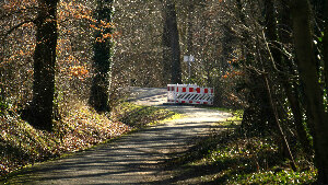 Sie sehen einen Waldweg, auf dem eine Absperrung steht.