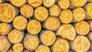 Sie sehen einen Stapel Holz.