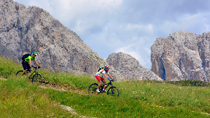 Sie sehen zwei Mountain-Bike-Fahrer auf einem Feldweg auf einer Wiese im Gebirge.