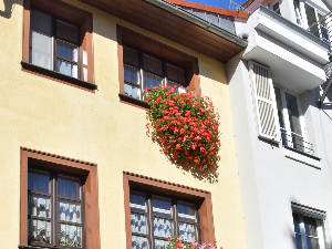 Sie sehen eine Häuserfassade mit einem Balkonkasten.