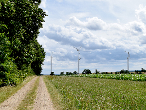 Sie sehen mehrere Windkraftanlagen, welche auf Feldern stehen, wobei im Vordergrund auch ein Weg und ein Waldgebiet zusehen sind.